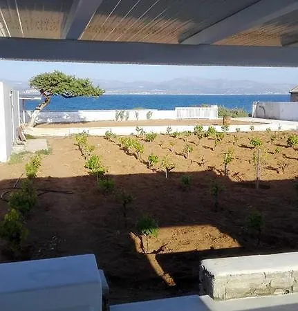 Ariakas Parikia (Paros)